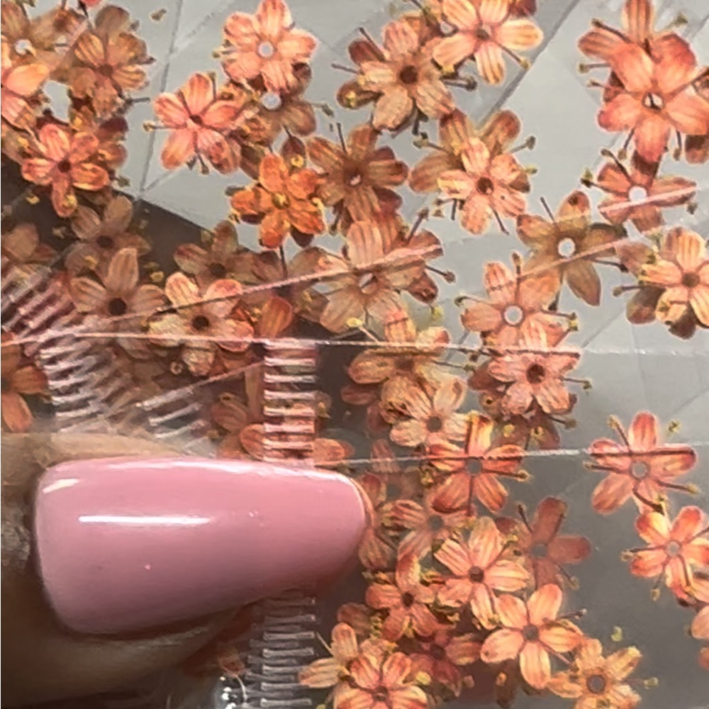 120 dried flowers